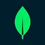 MongoDB Atlas logo